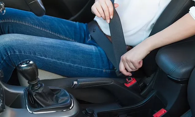 Do taxi drivers have to wear a seatbelt in UK